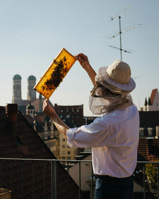 Der Imker Jürgen Brandl hält eine Bienenwabe in die Sonne. Im Hintergrund ist die Frauenkirche zu sehen.