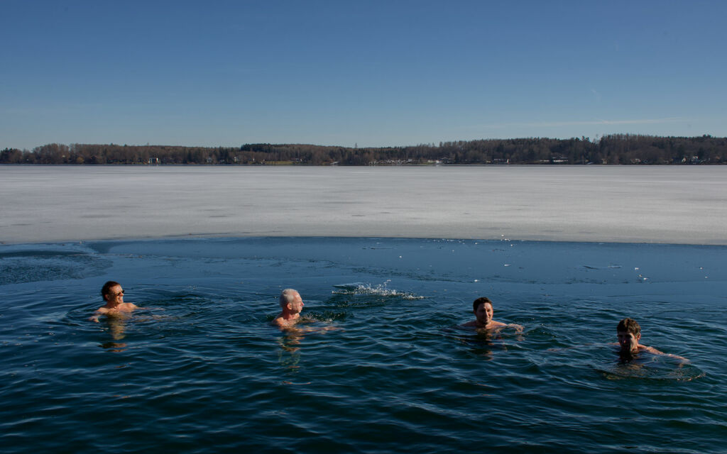The winter swimmers swimming in the Wörthsee