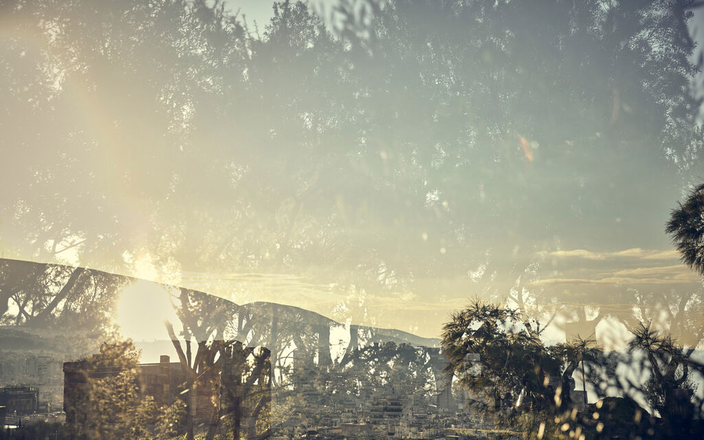 Trees and mountains are reflected in the windscreen of the Range Rover Evoque