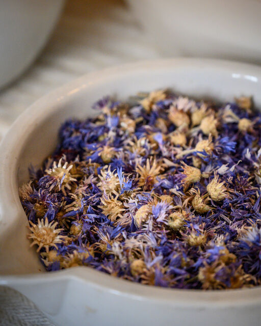 Nahaufnahme getrockneter blauer Blüten in weißer Apothekerschale