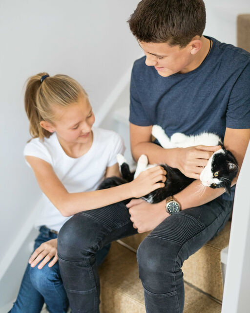 Zwei Kinder sitzen mit schwarz-weißer Katze auf dem Arm auf Treppe