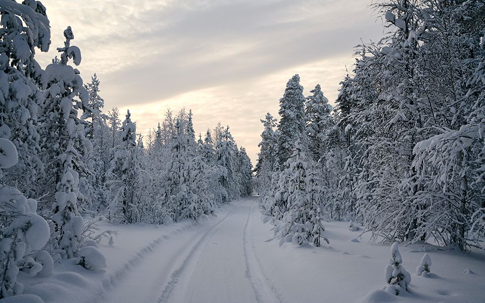 Snow-covered forest in Finland at sunset