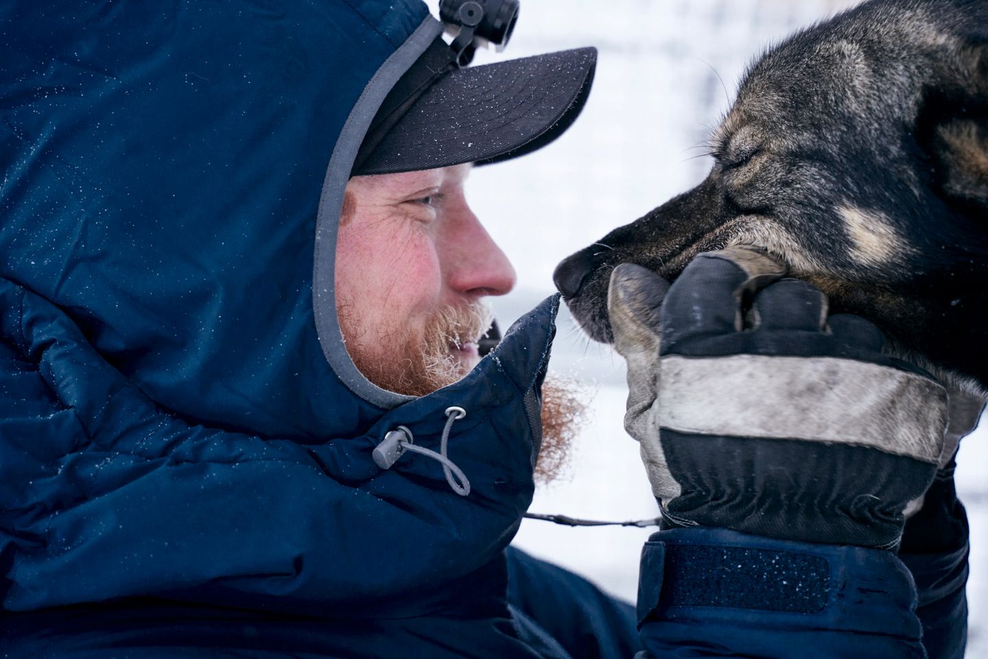 Dog sled driver Jonas looks Husky deep into the eyes