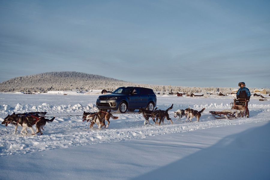 Dog sled rides alongside Range Rover Sport through snow-covered plains in Lapland