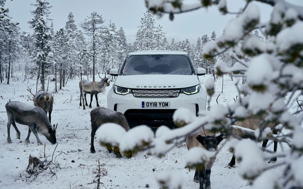Land Rover Discovery in snowy landscape with reindeers
