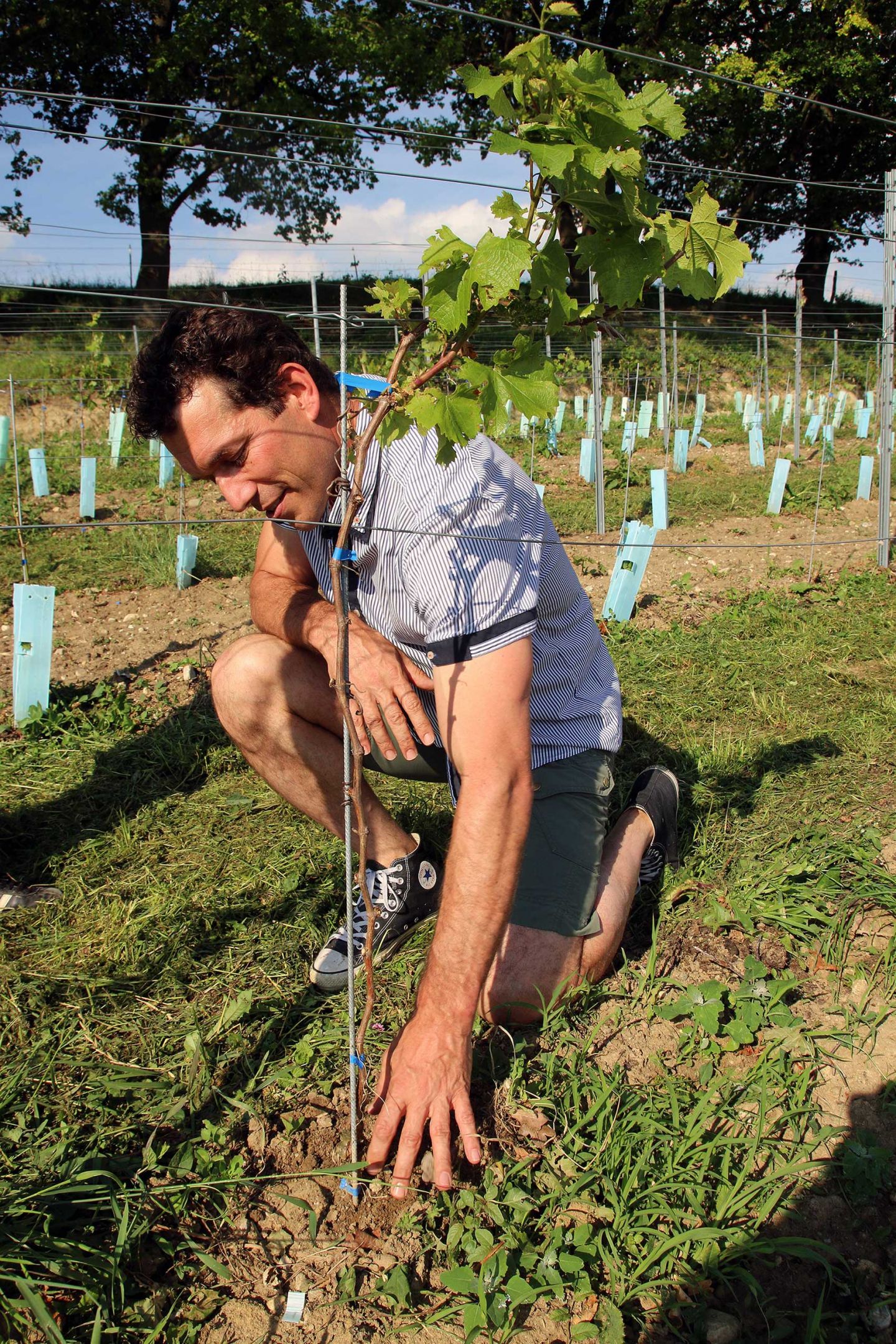 Winzer Uli Ernst kniet auf Wiese in seinem Weinanbaugebiet am Ammersee