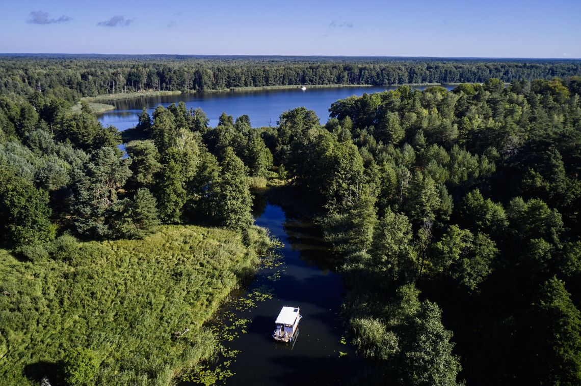 Boot von oben auf Fluss umgeben von Wald