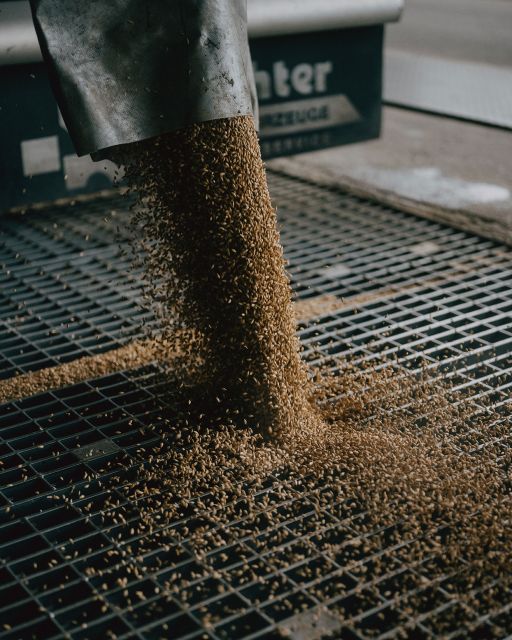 Malt is tipped through grid