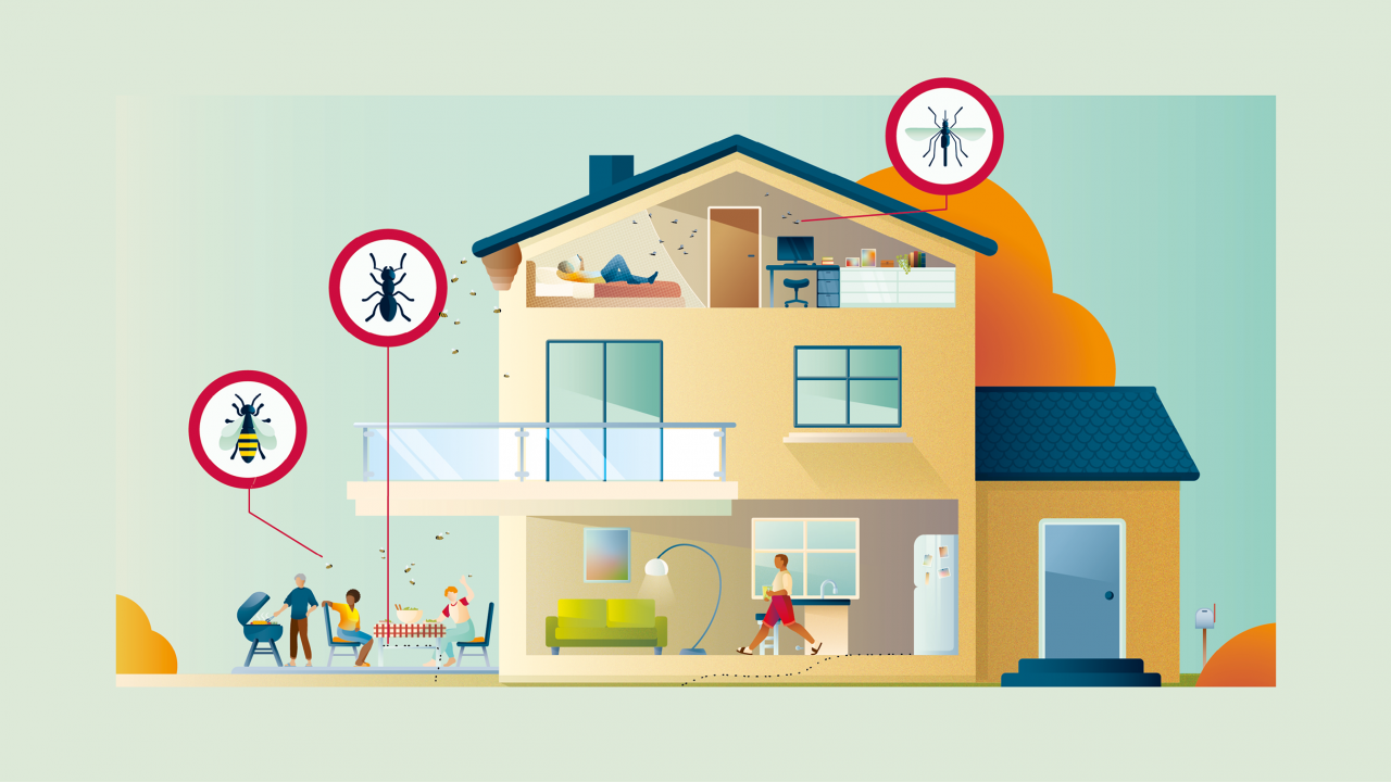 Cross-section illustration of a residential building depicting an infestation by various insects such as wasps, ants, and mosquitoes